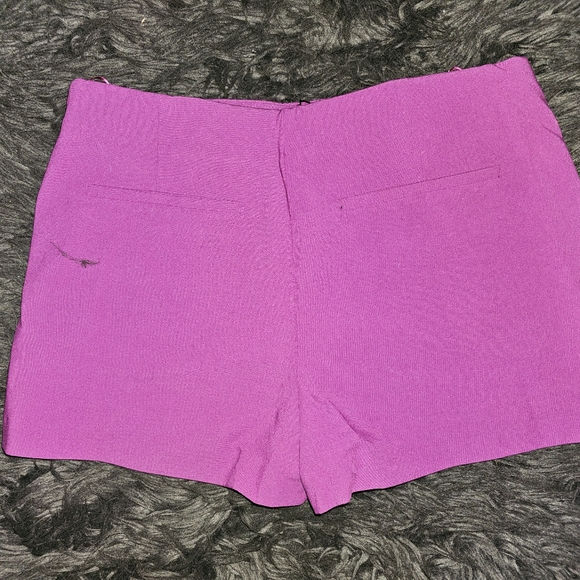 NWT Zara Magenta Shorts sz M, never worn, perfect condition - Picture 2 of 3